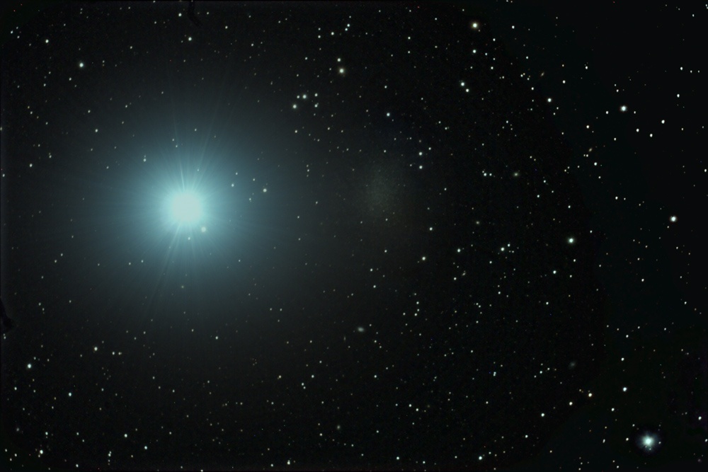 Leo 1 dwarf spheroidal galaxy has a supermassive black hole