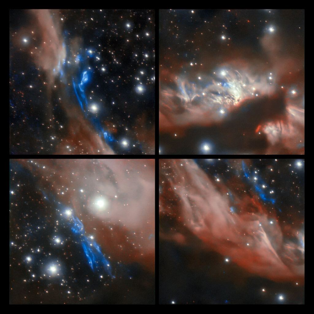 MHO 2147 contains some interesting features. This 4-image panel shows them. The upper right panel shows the center of the jet where the pale pink areas are nebulae that likely contain massive young stars. The stars are surrounded by accretion disks, which are ejecting material and creating a cavity. Scattered light from the central source is reflecting off the cavity walls in pink. In the other panels, the blue areas are diffuse clouds of molecular hydrogen excited by the collision between the surrounding material and material ejected by individual stars. Gemini Observatory captured these images as part of a Program of NSF's NOIRLab. Image Credit: International Gemini Observatory/NOIRLab/NSF/AURA