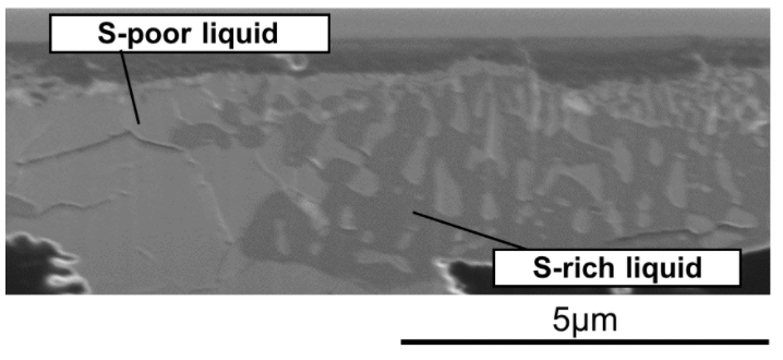 This electron microprobe image from the paper shows how the two liquids behaved under extreme pressure and temperature conditions like those inside Mars' core. The two iron-alloy liquids have strange textures and are immiscible. Image Credit: Yokoo et al. 2022.