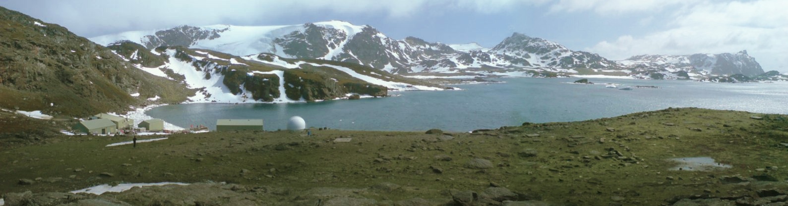 As Temperatures Rise, Antarctica is Turning Green