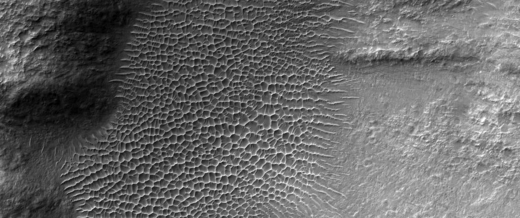 An amazing aspect of Mars that is captured in many HiRISE images is geologic diversity within a small area. This image of star dunes in a crater in the Tyrrhena Terra region puts a spotlight on Mars' diversity.  Image Credit: NASA/JPL/ UArizona