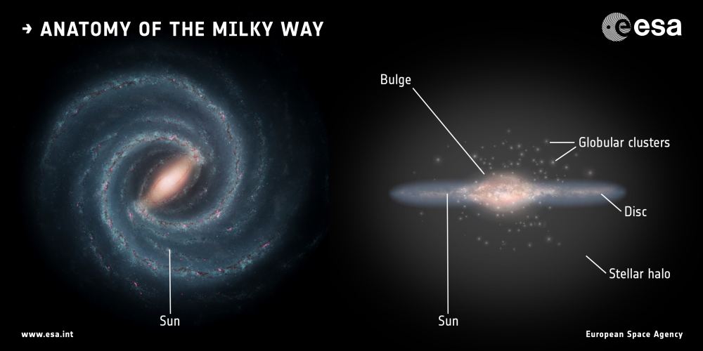 Vue d'artiste de notre galaxie, la Voie lactée, une galaxie spirale barrée vieille d'environ 13 milliards d'années qui abrite quelques centaines de milliards d'étoiles.  A droite, une vue de profil révèle la forme aplatie du disque.  Les observations indiquent une sous-structure : un disque mince d'environ 700 années-lumière de haut intégré dans un disque épais, d'environ 3000 années-lumière de haut et peuplé d'étoiles plus anciennes.  La nouvelle étude montre que le disque épais a commencé à former des étoiles seulement 0,8 milliard d'années après le Big Bang, soit environ deux milliards d'années plus tôt que prévu.  Crédit d'image : NASA / JPL-Caltech ;  à droite : ESA ;  mise en page : ESA / ATG medialab
