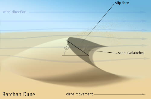 Barchan Dunes are formed in prevailing winds. Image Credit: unknown. CC BY-SA 3.0, https://commons.wikimedia.org/w/index.php?curid=571880