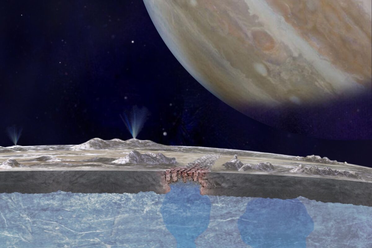 A Swarm of Swimming Robots to Search for Life Under the Ice on Europa