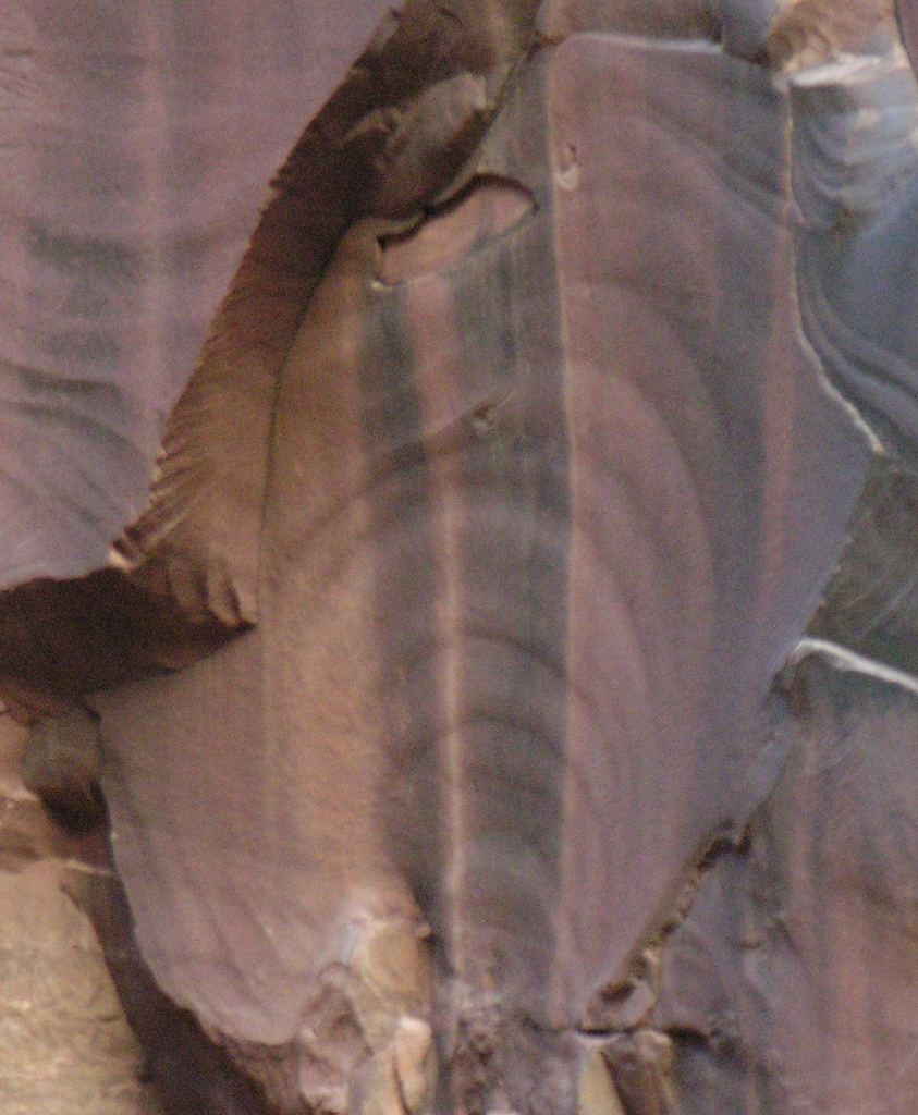 A view of a fractured sandstone formation on Earth. This type of rock can shatter easily under erosion or other forces. The concentric circles etched on the rock are 