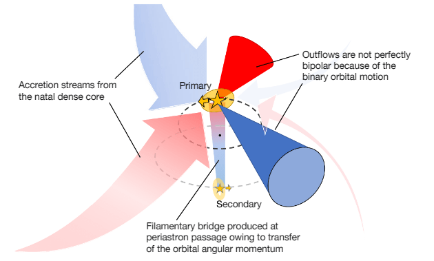This figure from the study shows some activity in the binary protostar.  The stars revolve around their common center of gravity, which is indicated by the black dot.  When a star absorbs a large amount of material, it glows in brightness and produces an outflow.  Because of the binary motion of the protostars, the outflows are not dipolar.  Image credit: Jørgensen, Kuruwita et al.  2022. 
