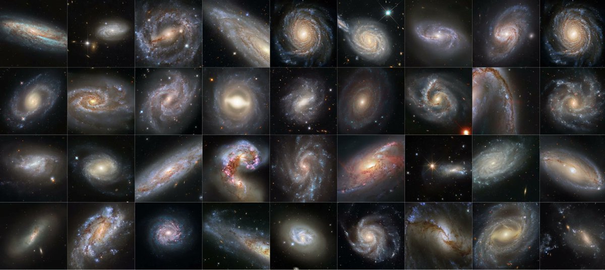 Supernovae Were Discovered in all These Galaxies