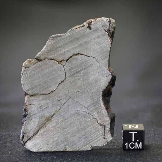 One of the iron meteorites that the researchers analyzed in their study. Image Credit: Aurelia Meister