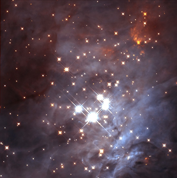 Probing deep within a neighborhood stellar nursery, Hubble Space Telescope uncovered a swarm of newborn brown dwarfs. The orbiting observatory's near-infrared camera revealed about 50 of these objects throughout the Orion Nebula's Trapezium cluster about 1, 500 light-years from Earth.  Courtesy  NASA/ESA/STScI.
