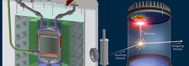 Schematic (left) and illustrative (right) of a running LZ experiment.