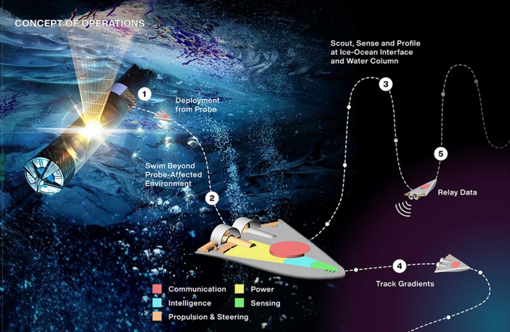 This illustration shows how SWIM-bots would be released from the cryobot and sent into the ocean to gather data.  Image Credit: NASA/JPL-Caltech