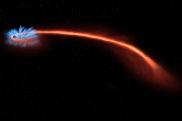  When a star (red trail) wanders too close to a black hole (left), it can be shredded, or spaghettified, by the intense gravity. Some of the star’s matter swirls around the black hole, like water down a drain, emitting copious X-rays (blue).  But, some of it makes a cloud with interesting properties. (Image credit: NASA/CXC/M. Weiss)