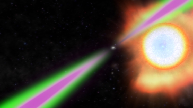 A spinning neutron star periodically swings its radio (green) and gamma-ray (magenta) beams past Earth in this artist’s concept of a black widow pulsar. The neutron star/pulsar heats the facing side of its stellar partner (right) to temperatures twice as hot as the sun’s surface and slowly evaporates it. (Image credit: NASA’s Goddard Space Flight Center)