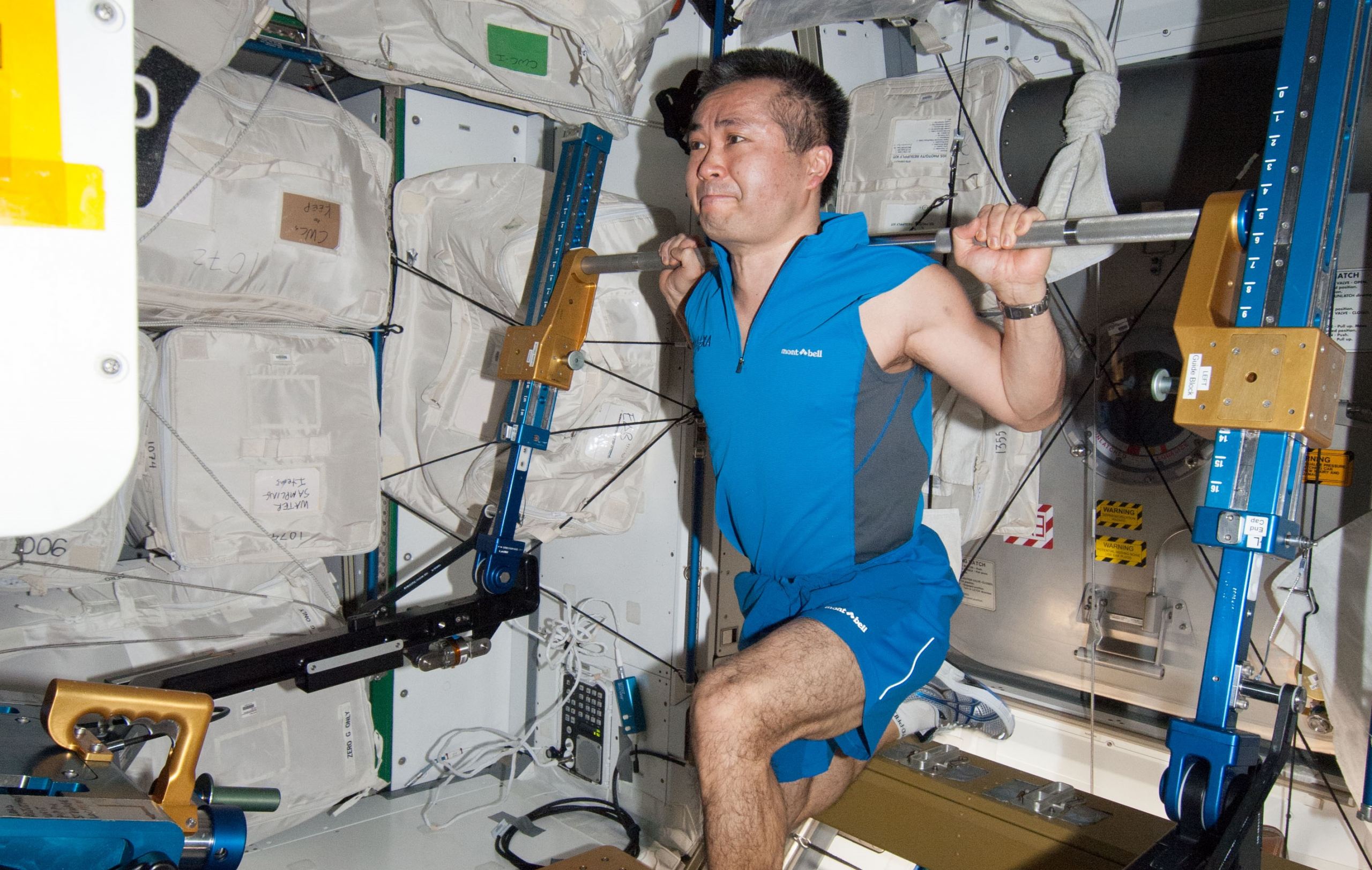 Многие астронавты никогда полностью не восстанавливают плотность костей после возвращения на Землю.
