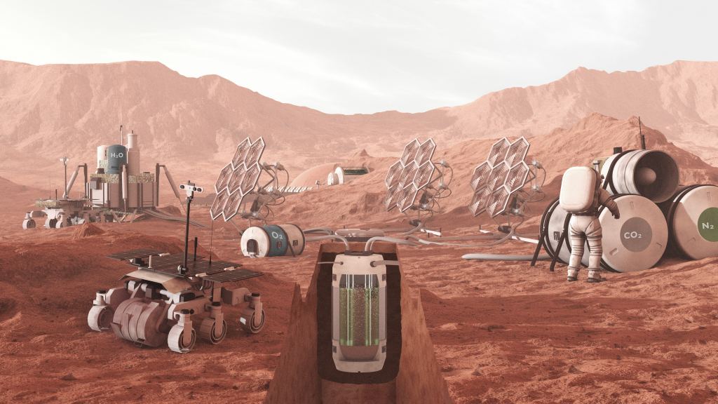 Cyanobacteria Will be our Best Partner for Living on Mars