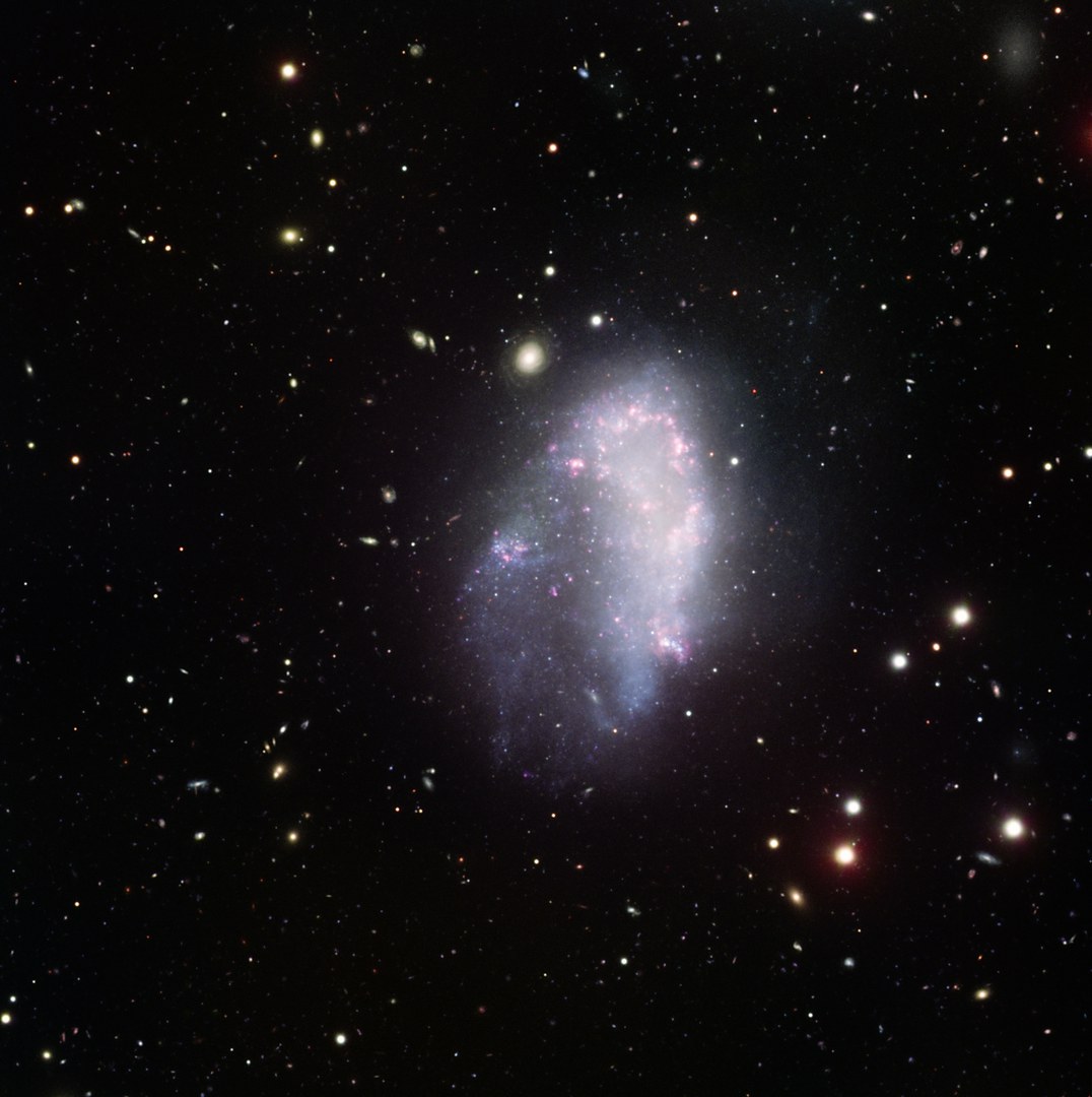 Dwarf galaxy in Fornax.