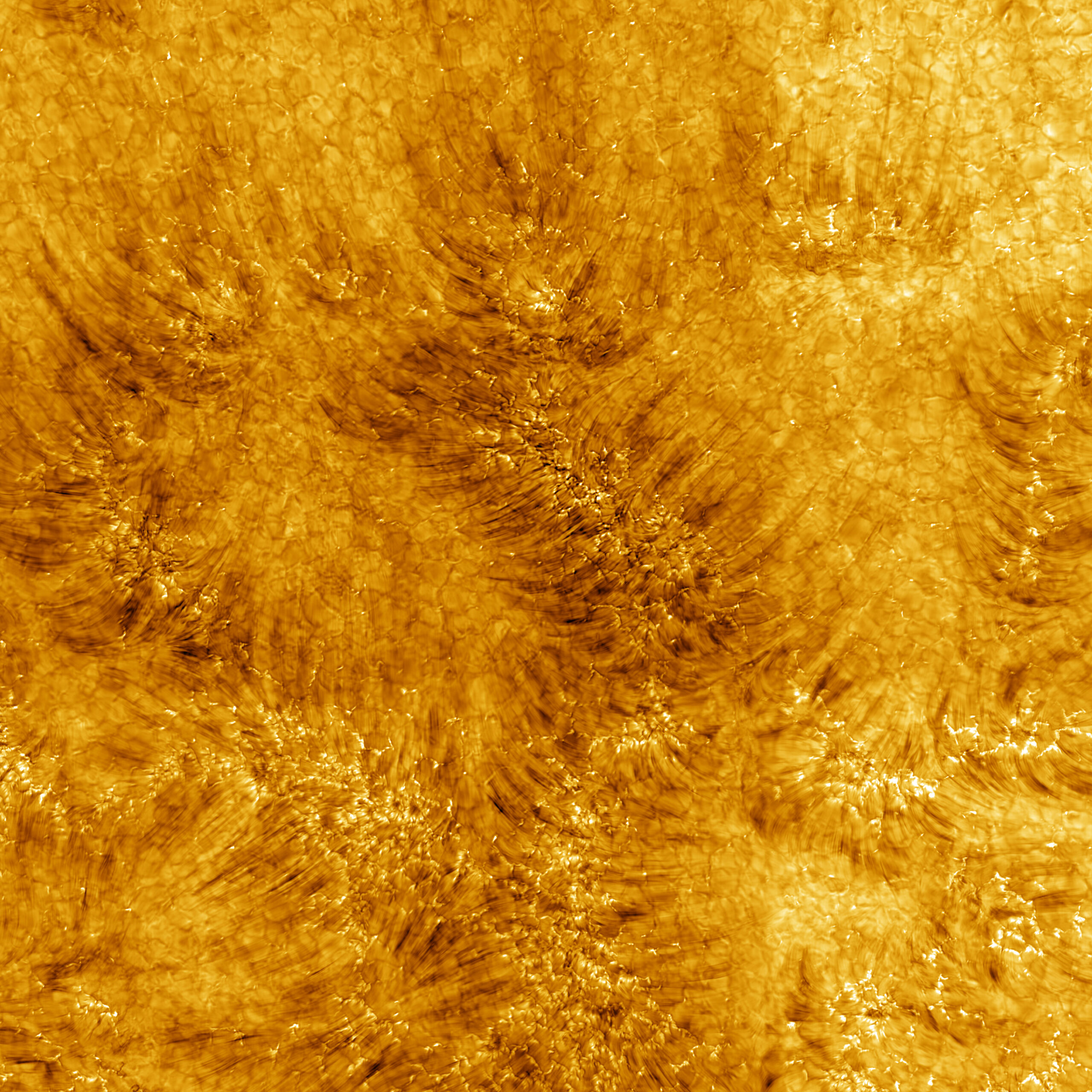 Insanely High-Resolution Images of the Sun Show its Chromosphere in Vivid Detail