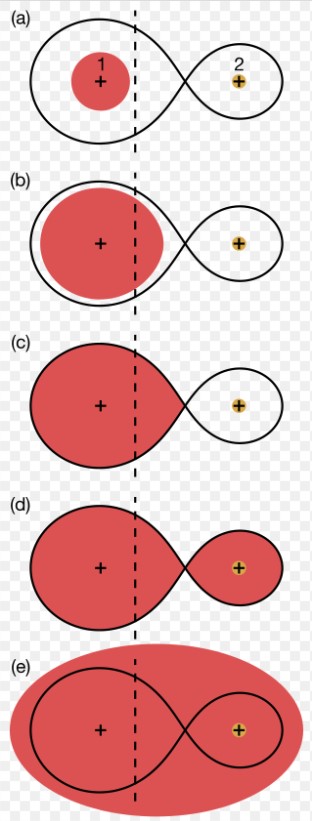 This figure shows how a common envelope forms in a binary pair. The black line is the Roche equipotential surface. The dashed line is the rotation axis. (a) Both stars lie within their Roche lobes, star 1 on the left (mass M1 in red) and star 2 on the right (mass M2 in orange). (b) Star 1 has grown to nearly fill its Roche lobe. (c) Star 1 has grown to overfill its Roche lobe and transfer mass to star 2: Roche lobe overflow. (d) Transferred too fast to be accreted, matter has built up around star 2. (e) A common envelope, represented schematically by an ellipse, has formed. Adapted from Fig. 1 of Izzard et al. (2012). Common envelope. (2022, June 5). In Wikipedia. https://en.wikipedia.org/wiki/Common_envelope