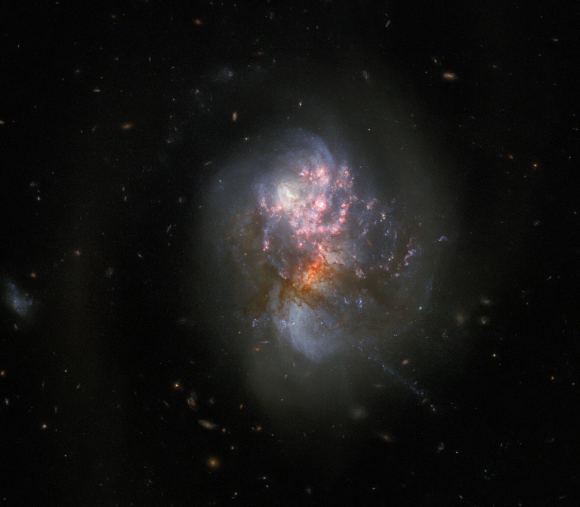 An HST image of the interacting galaxies in IC 1623.  They are plunging headlong into one another in a process known as a galactic merger. That ignited a frenzied spate of star formation known as a starburst, creating new stars at a rate more than twenty times that of the Milky Way galaxy. 