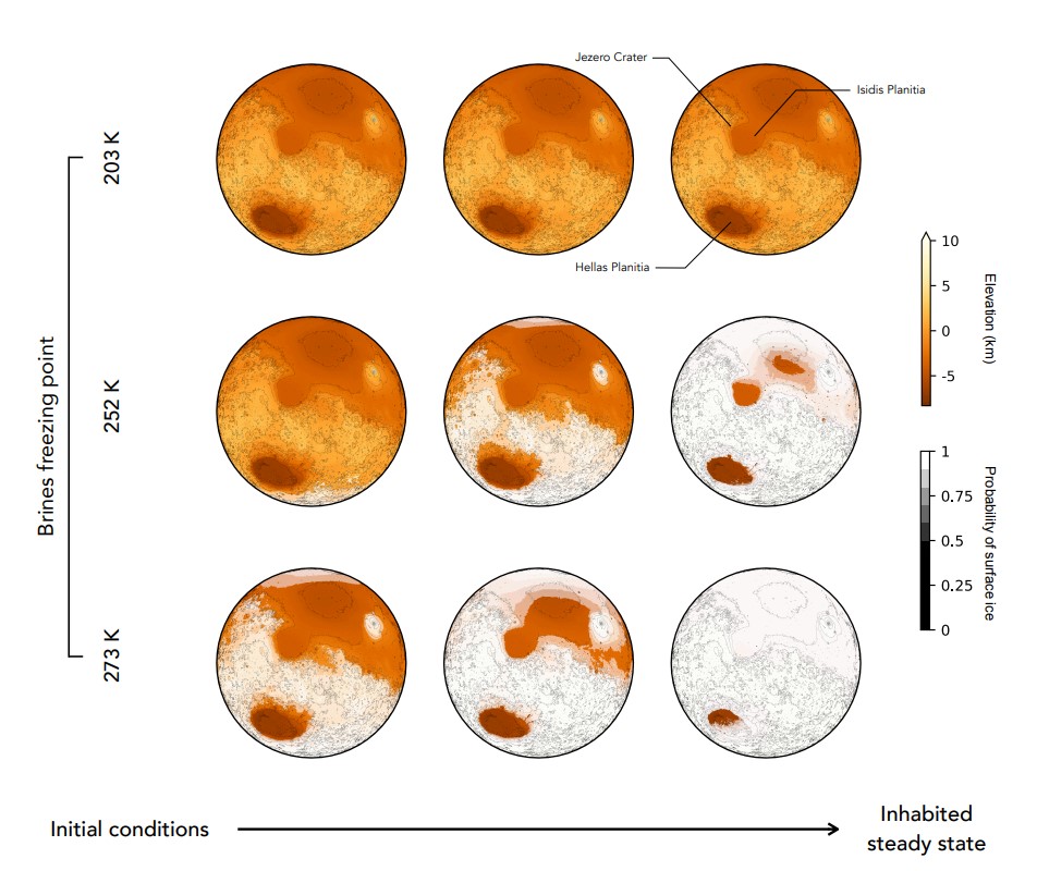 This figure from the study shows some of the team's modelling. Each row represents the freezing point for a different type of brine. The orange colour scale represents elevation. The super-imposed white shaded areas correspond to the probability (from 0.5 to 1 by steps of 0.1) of surface ice. Image Credit: Sauterey and Ferrière 2022.