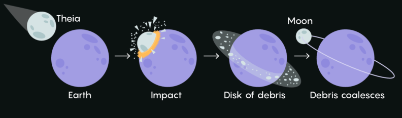 This is a simple illustration of the Giant Impact Hypothesis. Earth is going about its business when a protoplanet named Theia arrives from elsewhere in the Solar System, perhaps kicked out of its own orbit by another calamity or by migrating gas giants. Theia impacts Earth and creates a torus of debris that coalesces into the Moon. Image Credit: By Citronade - Own work, CC BY-SA 4.0, https://commons.wikimedia.org/w/index.php?curid=72720188