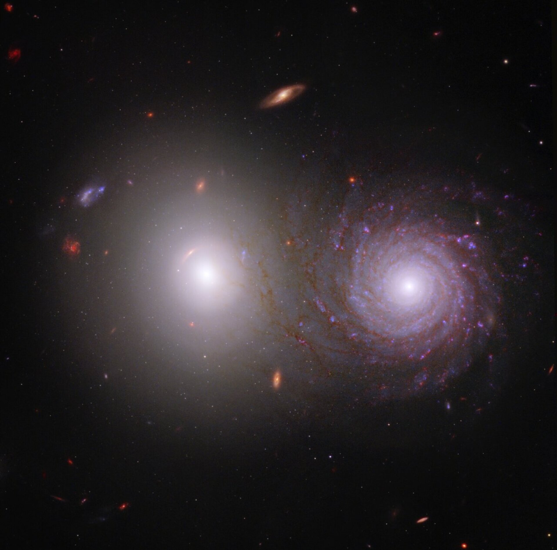 Webb and Hubble Work Together to Reveal This Spectacular Galaxy Pair — and Sever..