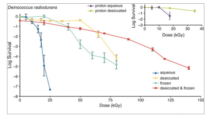 This figure from the study shows D. radiodurans' resistance to gamma radiation. The dose is on the x-axis, and survival is on the y-axis. The coloured lines represent aqueous, desiccated, frozen, and desiccated and frozen samples of the bacteria. Desiccated and frozen D. radiodurans survived more radiation than the other samples in the research. Proton radiation in the inset box only reached limited radiation doses due to the limitations of the research facility. Image Credit: William H. Horne et al., 2022