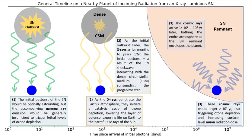 This figure from the study shows a timeline of radiation exposure for a planet close to a luminous x-ray supernova.  Image Credit: Brunton et.  al 2022.