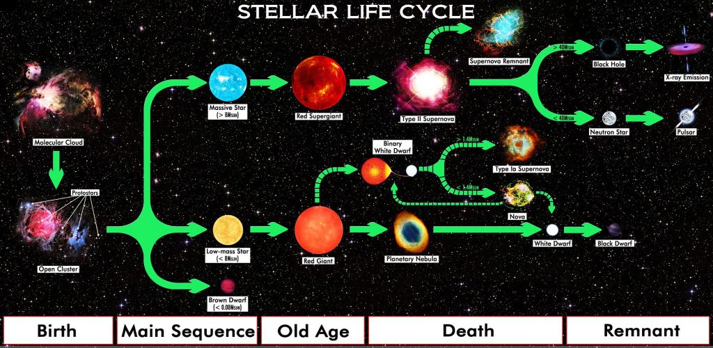 This diagram shows the life cycle of stars. Our Sun, as a solitary star, will follow the path on the bottom of the chart, from birth in a molecular cloud all the way to a theoretical black dwarf. Image Credit: By R.N. Bailey - Own work, CC BY 4.0, https://commons.wikimedia.org/w/index.php?curid=59672008