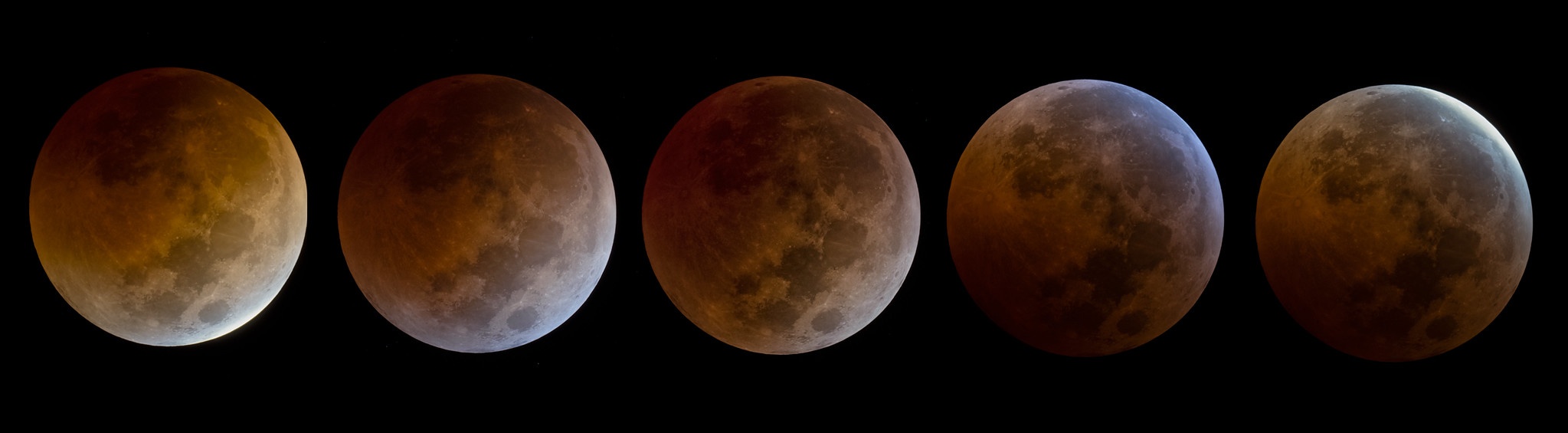 Stunning Photos from the November 8, 2022 Total Lunar Eclipse