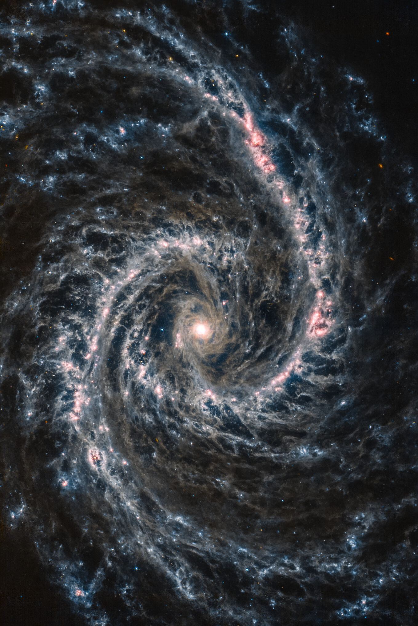 Gaze Slack-jawed at the Haunting Beauty of Galaxy NGC 1566, Captured by JWST, Pr..