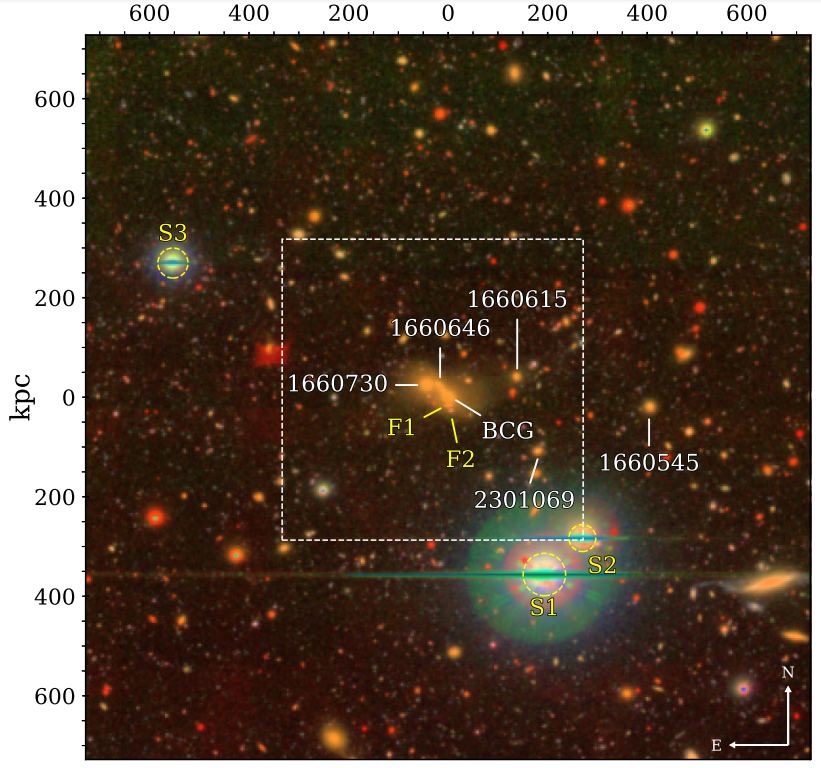 This image from the study is a composite colour image of the 400138 group of galaxies. The numbers in white are individual galaxies, and the BCG is a bright cluster group. F1 and F2 are foreground galaxies, and S1, S2, and S3 are foreground stars. Image Credit: Martínez-Lombilla et al. 2022.