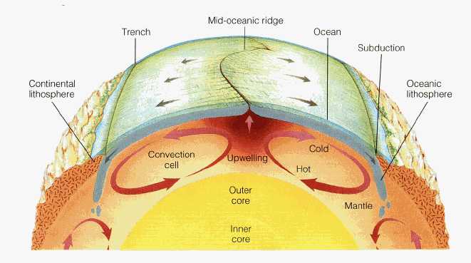 The Earth's mantle is convective, and the continents act as a blanket, helping the Earth retain heat.  As time goes on, radioactive elements, which produce heat as they decay, are depleted in the mantle as they reach the crust via upwelling.  Image Credit: Wikimedia Commons 