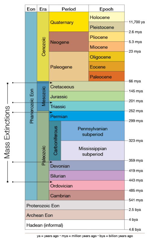 A timeline of Earth's 5 mass extinctions, which all coincide with increased volcanic activity. A sixth one may be occurring currently. Image Credit: University of Kansas.