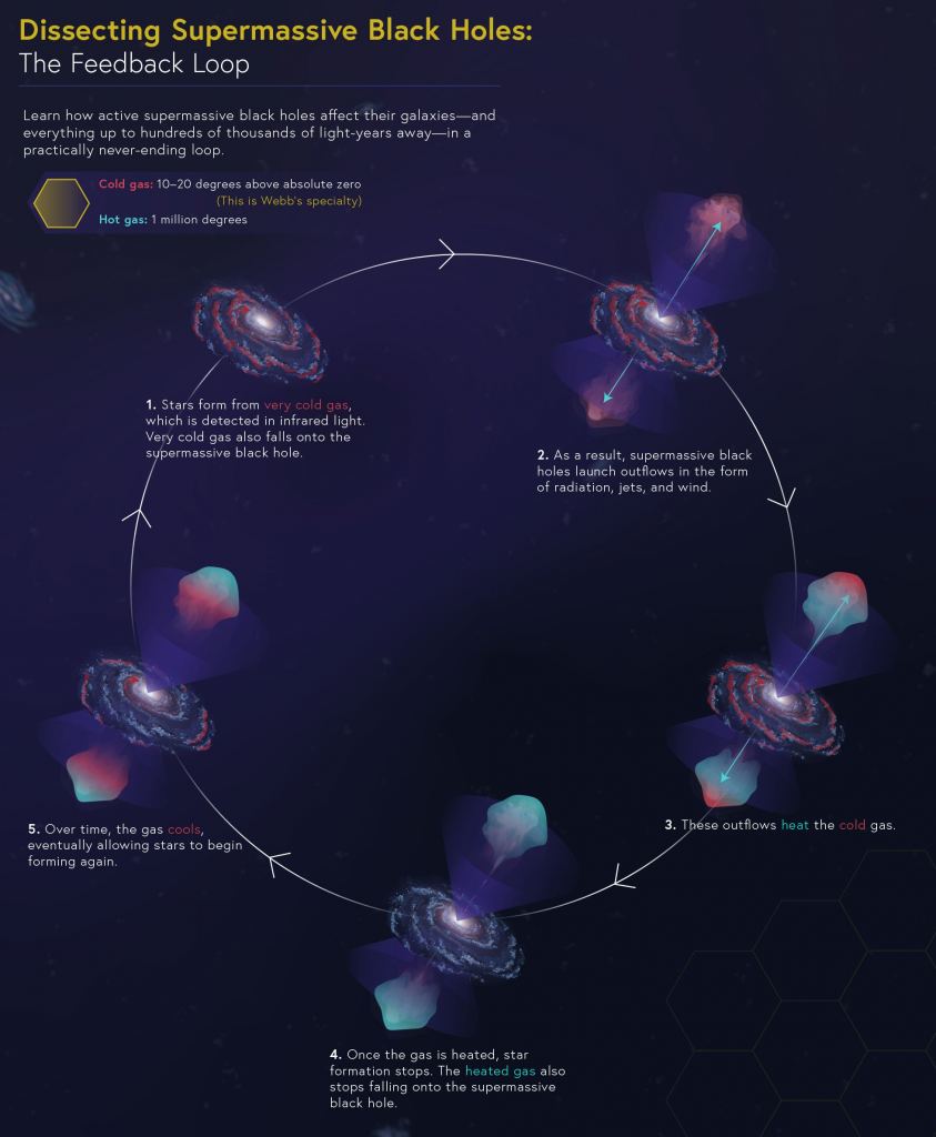 This graphic from the team at the Space Science Telescope Institute describes the black hole feedback loop. Image Credit: NASA, ESA, Leah Hustak (STScI)