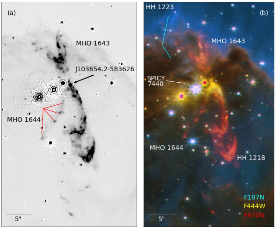 These images from the paper show MHO 1643, the brightest and most spectacular outflow in NGC 3324. The image on the left is a bare-bones science image, filtered and stripped of vivid colour. MHO 1643 has two prominent bow shocks and several additional knots ahead of and slightly off-axis from the bow shocks. Objects labelled SPICY were found with the Spitzer/IRAC Candidate YSO Catalog. Image Credit: NASA/ESA/CSA/JWST Reiter et al. 2022