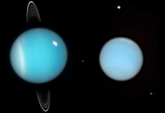 The Hubble Space Telescope captured these images of Uranus and Neptune. Uranus' rings are visible, as are Neptune's moons Proteus (top), Larissa (lower right), and Despina (left). Image Credits: ESA/NASA/Hubble