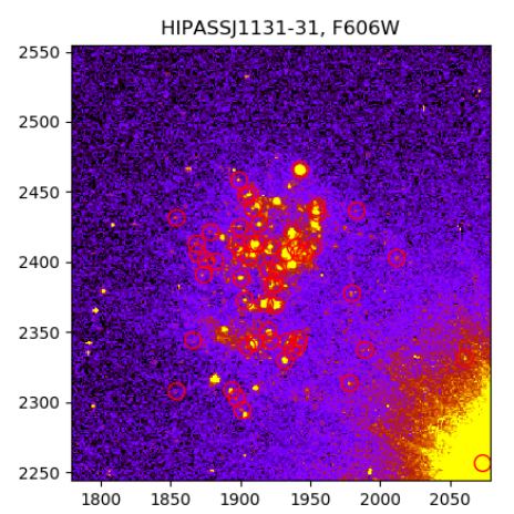This image from the study comes from Hubble's Advanced Camera for Surveys and shows individual stars detected in Peekaboo. The star that used to block our view is in the bottom right. Image Credit: Karachentsev et al. 2022.