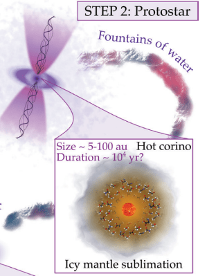 In step two, the protostar hasn't begun fusion yet. But it still generates enough heat to sublimate the water ice on dust grains into vapour. Image Credit: Ceccarelli and Du, 2022.