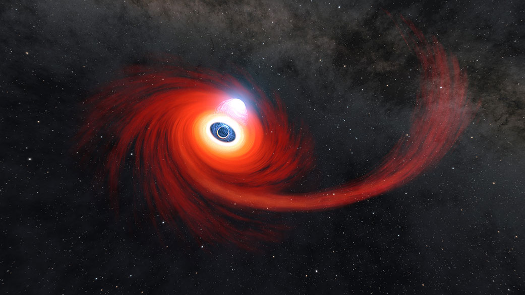 A Star Came too Close to a Black Hole. It Didn’t End Well