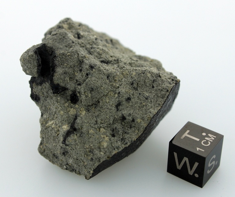 A Martian Meteorite Contains Organic Compounds. The Raw Ingredients for Life?