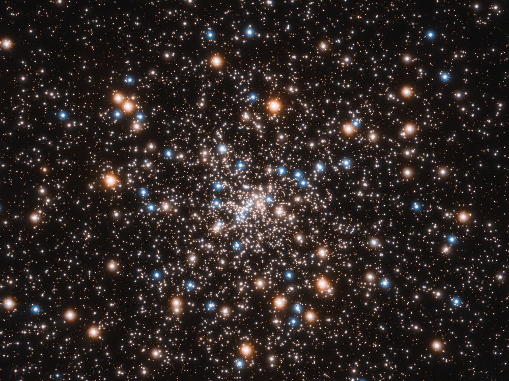 The globular cluster NGC 6397 glitters with the light from hundreds of thousands of stars in this Hubble Space Telescope image. The blue stars are massive stars near the end of their lives, and the red stars are stars that have burned most of their hydrogen and are now red giants. The small white objects include stars like our Sun. Image Credit: NASA, ESA, Tom M. Brown (STScI), Stefano Casertano (STScI), Jay Anderson (STScI)