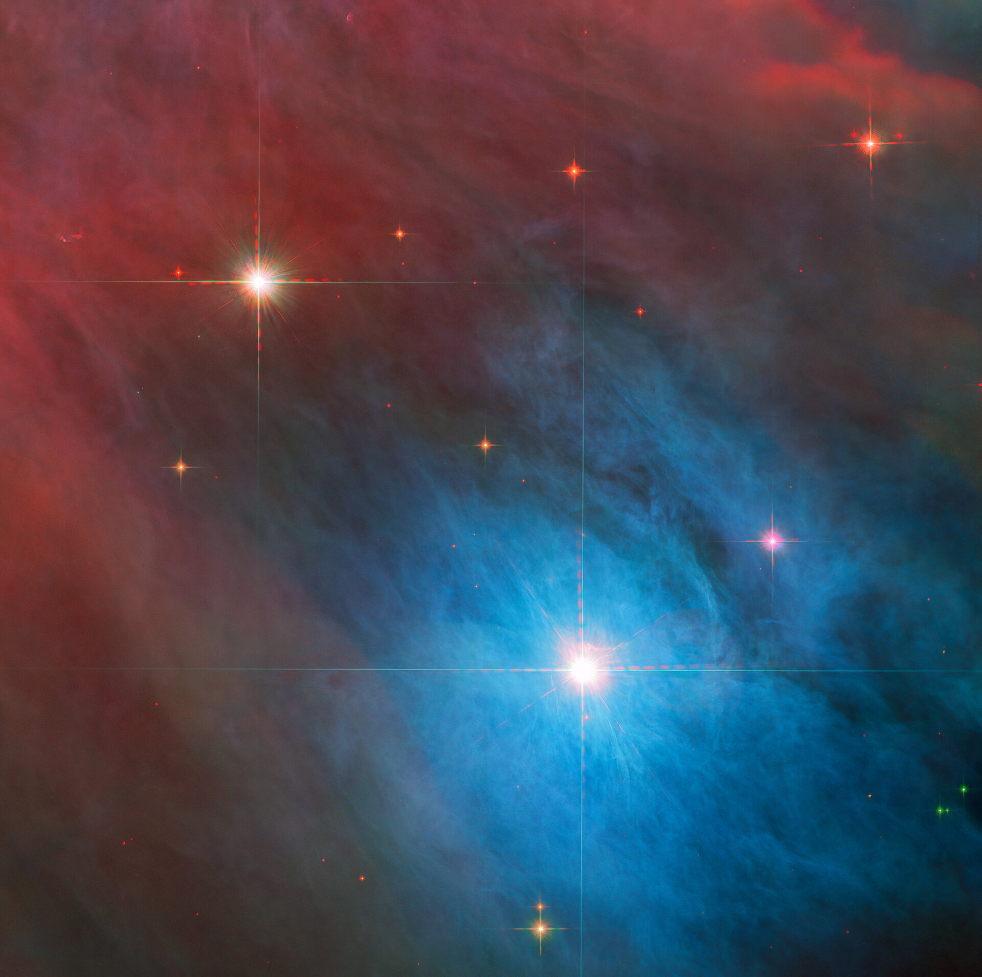 Новое красивое изображение Хаббла показывает горячие молодые переменные звезды в туманности Ориона.