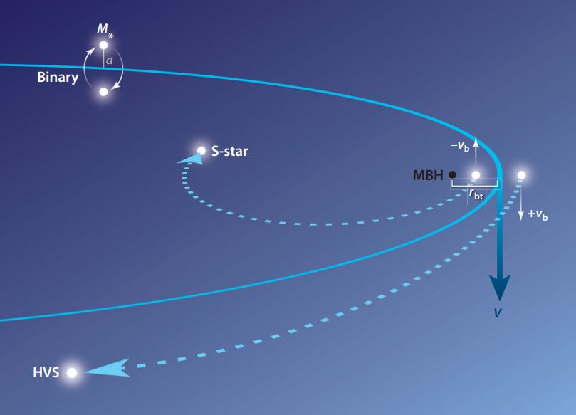 This illustration shows how the Hills Mechanism works. A binary star approaches an SMBH, and the powerful gravity splits the binary pair apart. One star is ejected from the galaxy as a hyper-velocity star. The other takes up a tight orbit around the SMBH. Image Credit: Warren R. Brown 2015/J. Guillochon.