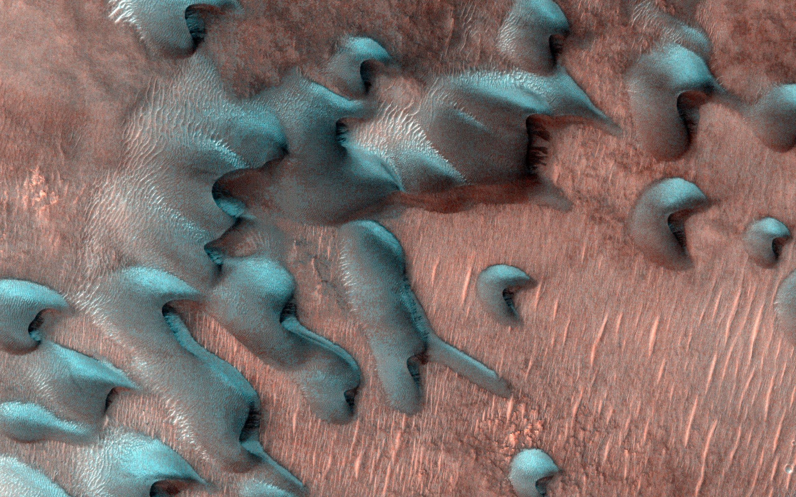 Seen From Space: Sand Dunes on Mars Covered by Frost