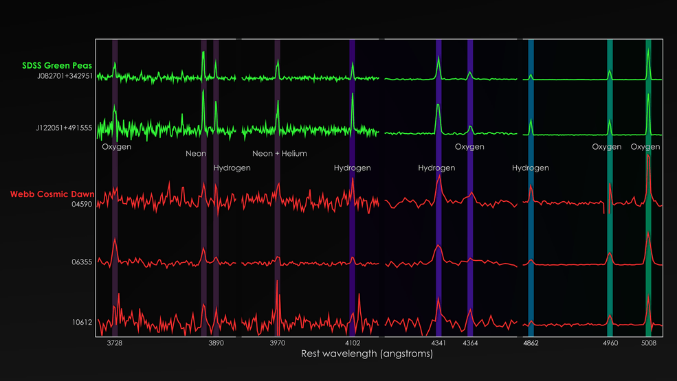 Esta imagen se basa en datos del artículo, pero se agregó un subrayado para que sea más legible para los no científicos.  El instrumento NIRSpec de JWST ha capturado las firmas químicas de galaxias seleccionadas detrás de SMACS 0723, incluidos tres objetos distantes débiles.  Cuando se corrige el estiramiento de la longitud de onda causado por la expansión del espacio durante miles de millones de años, los espectros de estas galaxias (mostradas en rojo) muestran características de emisión de oxígeno, hidrógeno y neón que muestran una sorprendente similitud con las vistas desde el llamado guisante verde. galaxias encontradas en algún lugar cercano (en verde).  Además, las observaciones de Webb permitieron medir por primera vez la cantidad de oxígeno en estas galaxias del amanecer cósmico.  Las líneas espectrales se han estirado verticalmente para mostrar estas relaciones.  Crédito de la imagen: Centro de Vuelo Espacial Goddard de la NASA/Rhodes et al.  2023