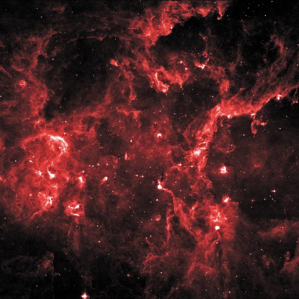 This is an infrared image of the star-forming region Cygnus X. The bright regions contain new stars that are carving bubbles out of the cloud with their outflows and UV radiation. Image Credit: NASA/IPAC/MSX