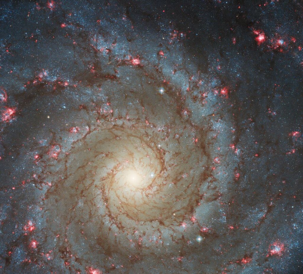 The arms of the spiral galaxy M74 are studded with rosy pink regions of fresh star formation in this image from the NASA/ESA Hubble Space Telescope. The Hubble is an awesome telescope that has expanded the boundaries of human knowledge and inspired countless curious minds. The JWST is simply more better, but the real power comes when multiple telescopes with different strengths combine their observations, like in the PHANGS program. Image Credit: NASA/ESA/Hubble   