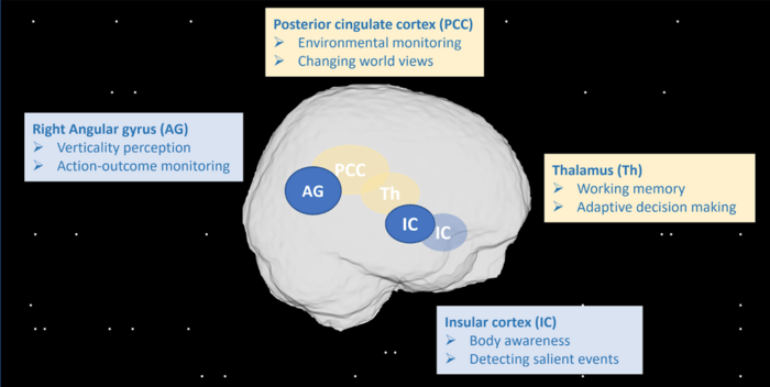 The regions of the brain and associated functions that are affected by space flight.  Credit: UAntwerpen.