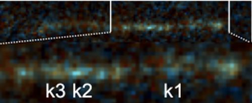 This image from the work shows three knots in the tail that are likely recently formed stars. The researchers found that the three stars fall within the correct ranges of metallicity, age, and dust content to conform with a rogue SMBH that left its galaxy about 39 million years ago. Image Credit: van Dokkum et al. 2023 